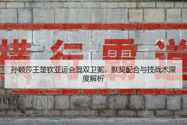 sun-ying-sha-wang-chu-qin-ya-yun-hui-hun-shuang-wei-mian-mo-qi-pei-he-yu-ji-zhan-shu-shen-du-jie-xi-2-702.jpg