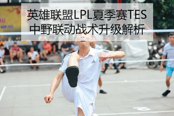 英雄联盟LPL夏季赛TES中野联动战术升级解析