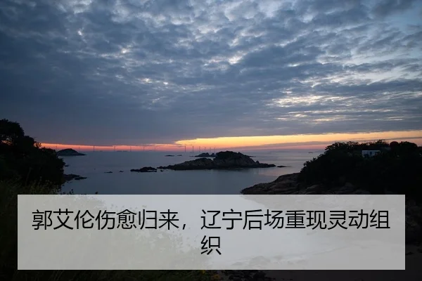 guo-ai-lun-shang-yu-gui-lai-liao-ning-hou-chang-chong-xian-ling-dong-zu-zhi-2-223.jpg