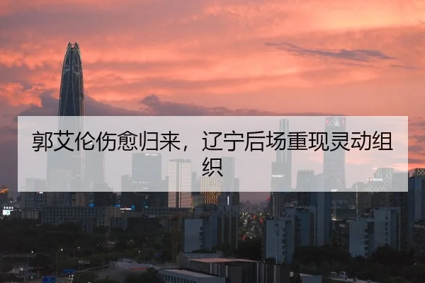 郭艾伦伤愈归来，辽宁后场重现灵动组织