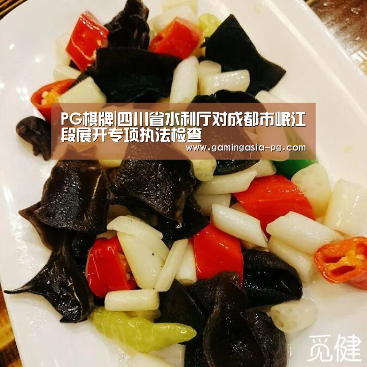 PG入口