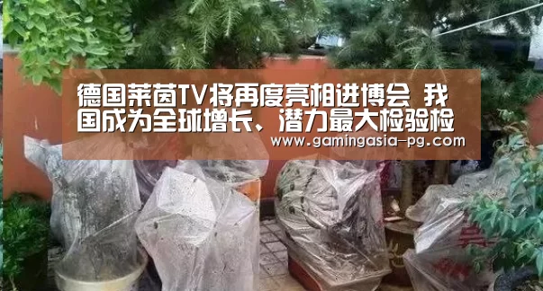 德国莱茵TV将再度亮相进博会 我国成为全球增长、潜力最大检验检测认证市场:PG入口(图2) PG足球