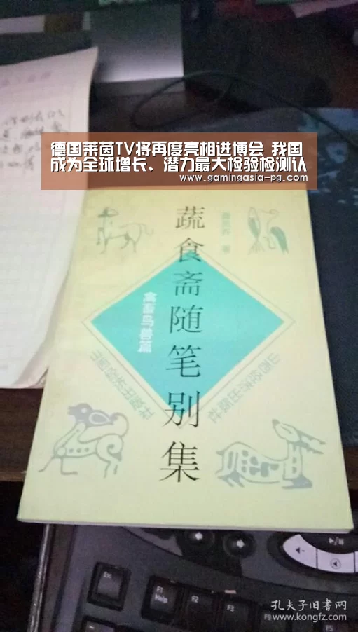 德国莱茵TV将再度亮相进博会 我国成为全球增长、潜力最大检验检测认证市场:PG入口(图4) PG视讯