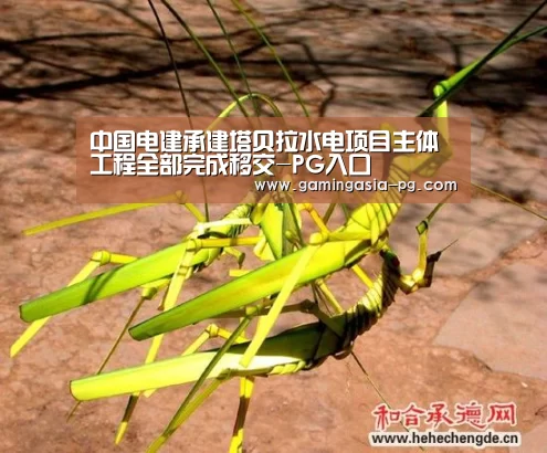 中国电建承建塔贝拉水电项目主体工程全部完成移交-PG入口(图1) PG棋牌