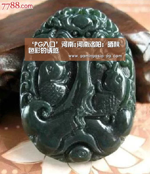 ‘PG入口’河南:河南洛阳:晒秋-色彩的诱惑(图3) PG足球