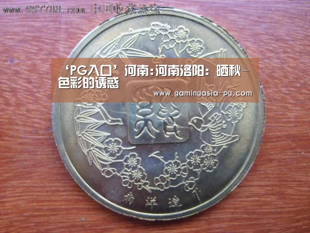 ‘PG入口’河南:河南洛阳:晒秋-色彩的诱惑(图4) PG入口
