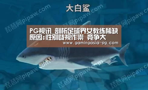 PG视讯