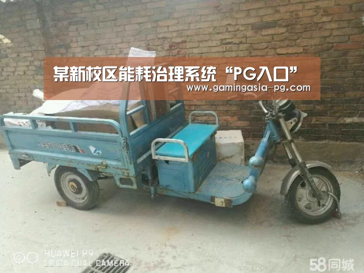 某新校区能耗治理系统“PG入口”(图1) PG入口